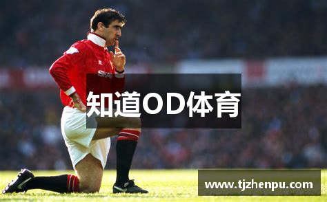 OD体育 - OD体育赛事平台 - OD体育官网